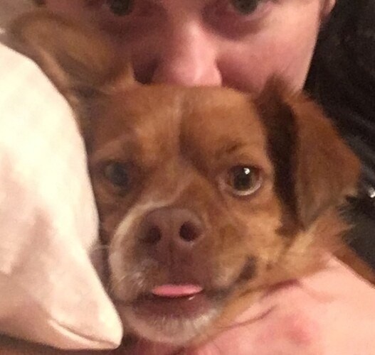Shea, 26